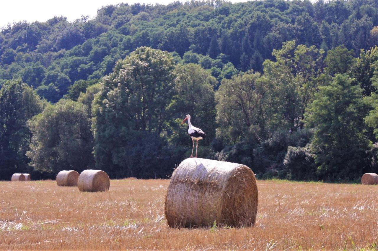 Naturpark Vendeghaz Alsoszolnok ภายนอก รูปภาพ
